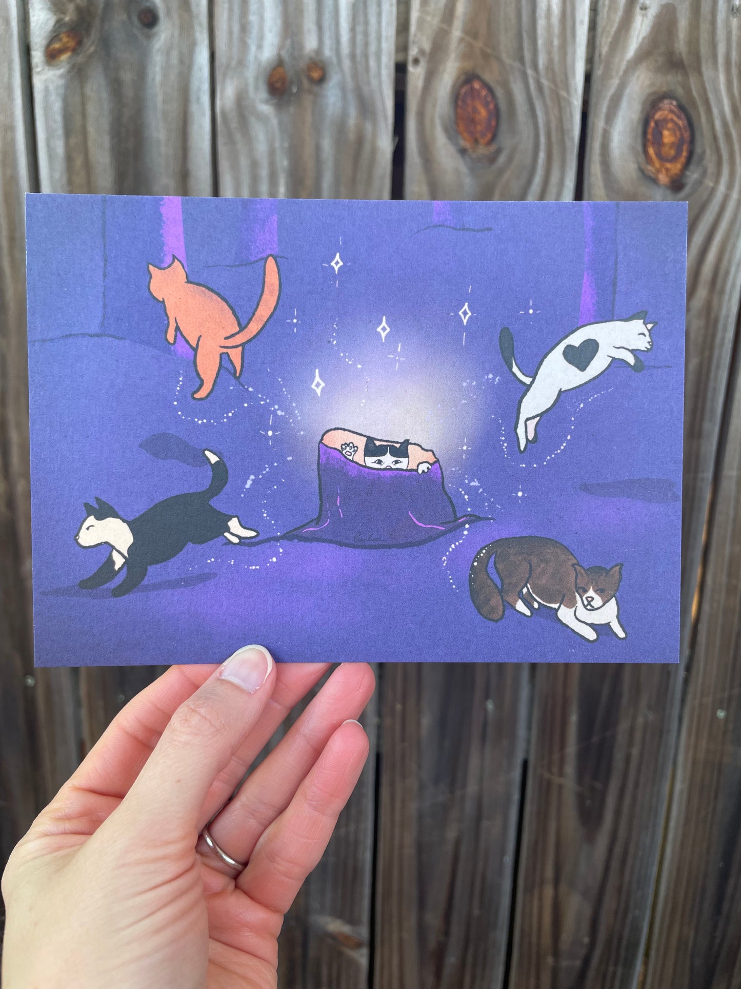 Cat Fountain - 5x7" Postcard